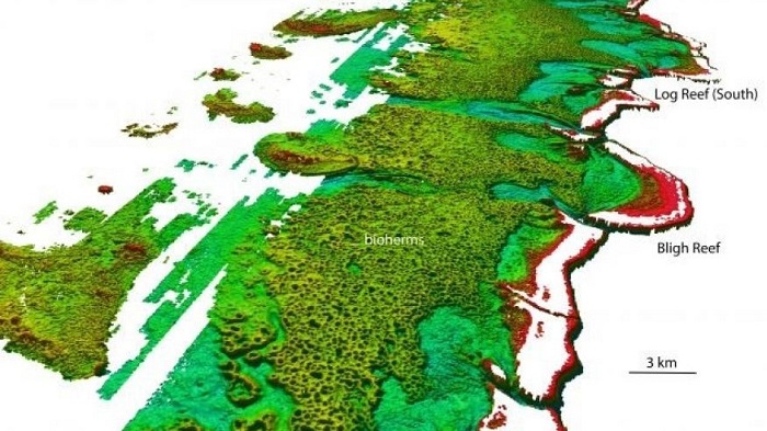 Scientists discover vast reef behind Great Barrier Reef 